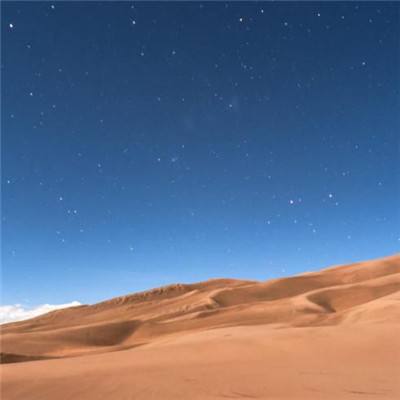 escapex游戏官方下载